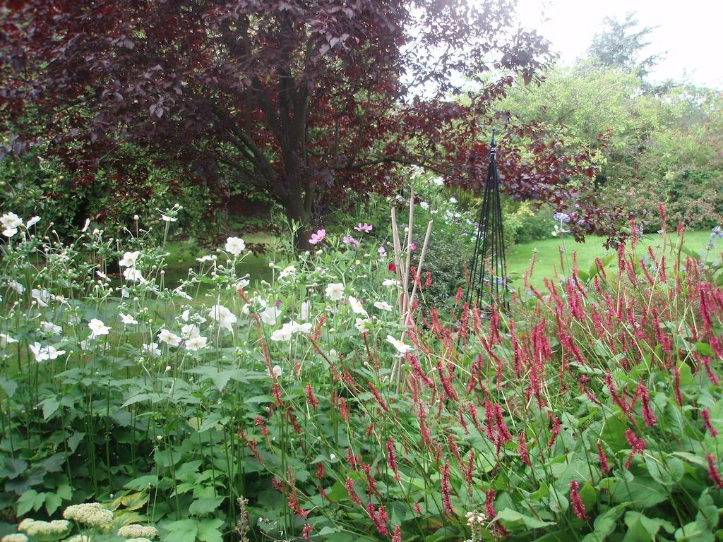 White House Farm Bed & Breakfast Hindolveston Luaran gambar